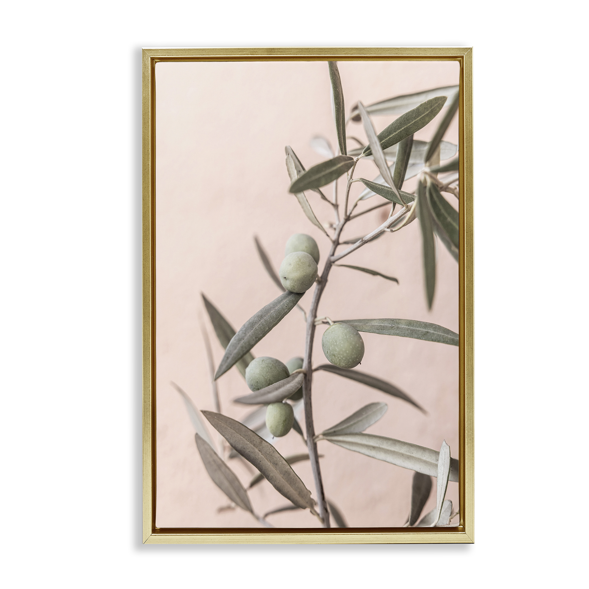 Stupell Industries Spanish Olive Branch Plants & Flowers Painting Gold Floater Framed Canvas Art Print Wall Art, 21 x 31