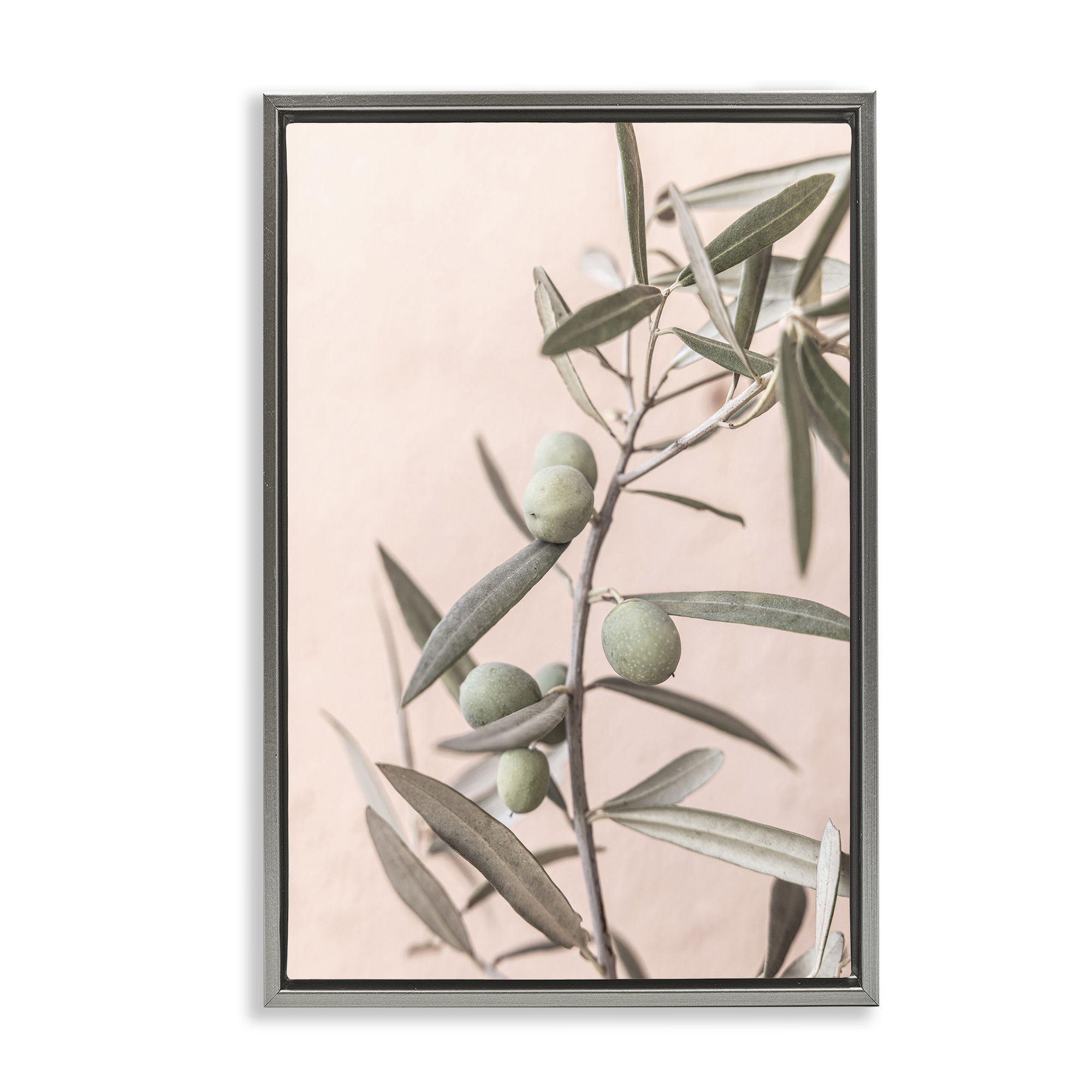 Stupell Industries Spanish Olive Branch Plants & Flowers Painting Gray Floater Framed Canvas Art Print Wall Art, 17 x 25