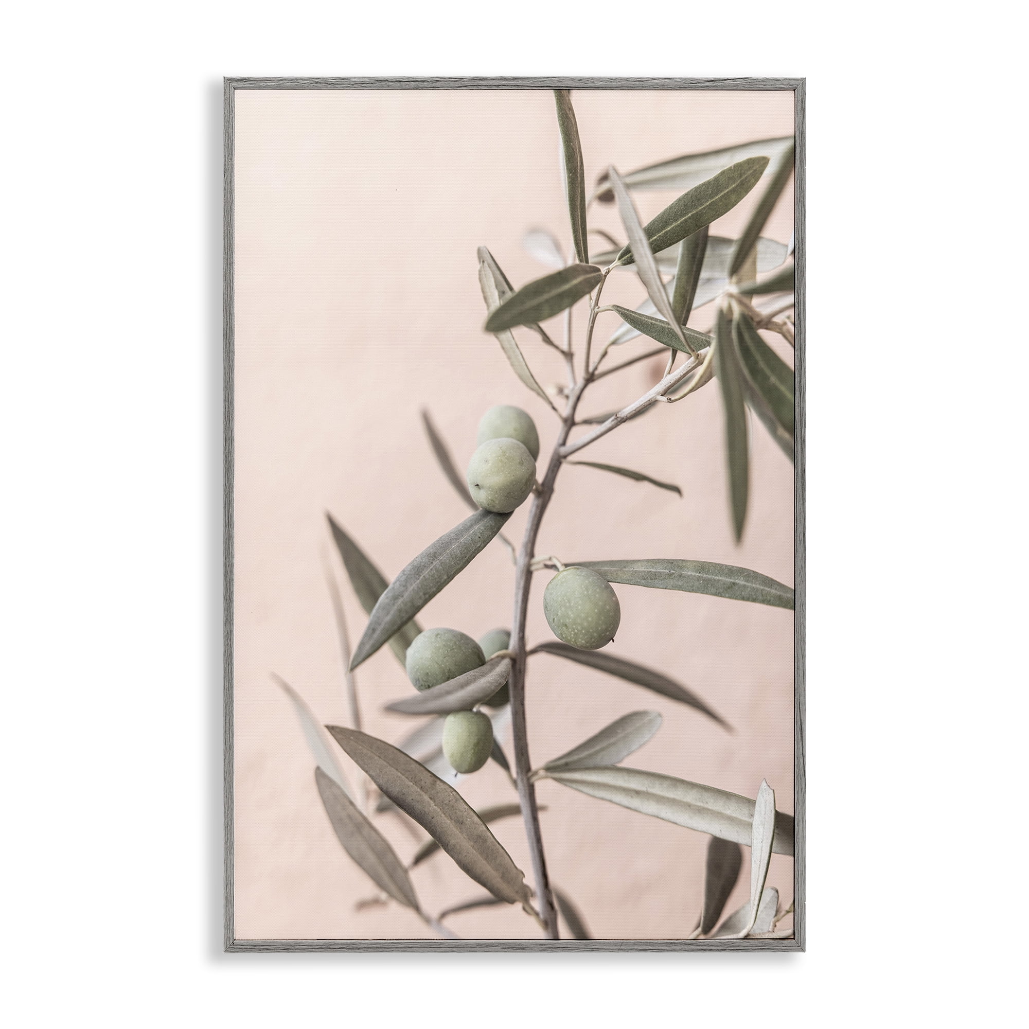 Stupell Industries Spanish Olive Branch Plants & Flowers Painting Gray Framed Art Print Wall Art, 16 x 24