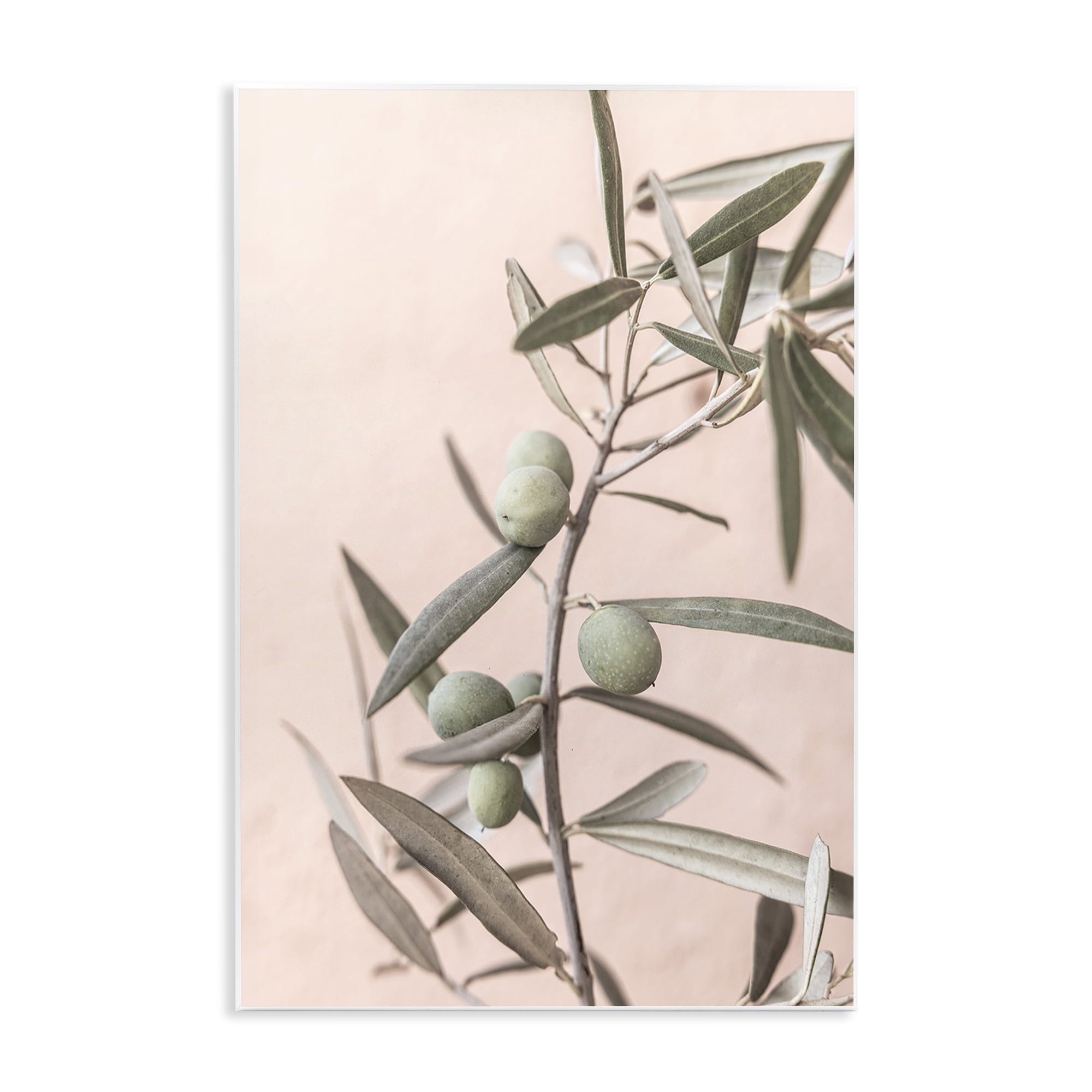 Stupell Industries Spanish Olive Branch Plants & Flowers Painting Unframed Art Print Wall Art, 10 x 15