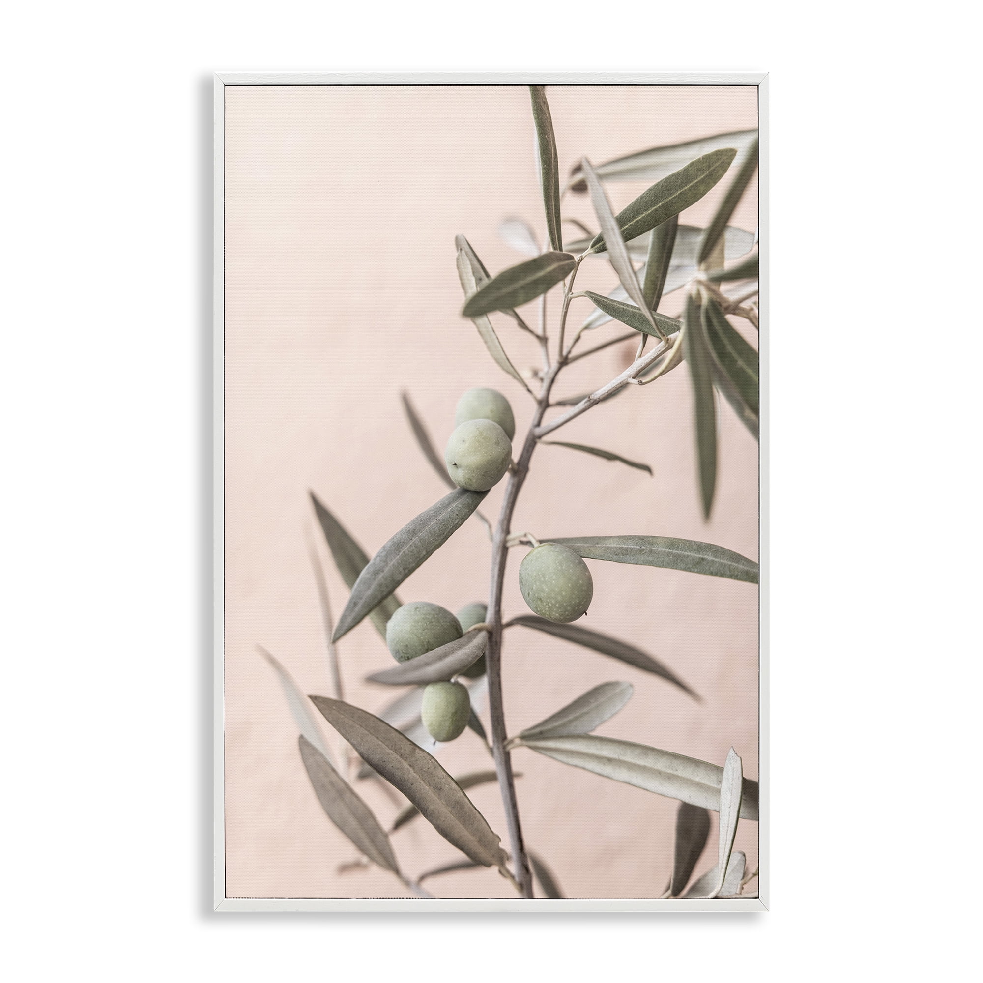 Stupell Industries Spanish Olive Branch Plants & Flowers Painting White Framed Art Print Wall Art, 20 x 30