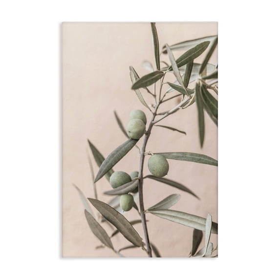 Stupell Industries Spanish Olive Branch Plants & Flowers Painting Wrapped Canvas Art Print Wall Art, 16 x 24