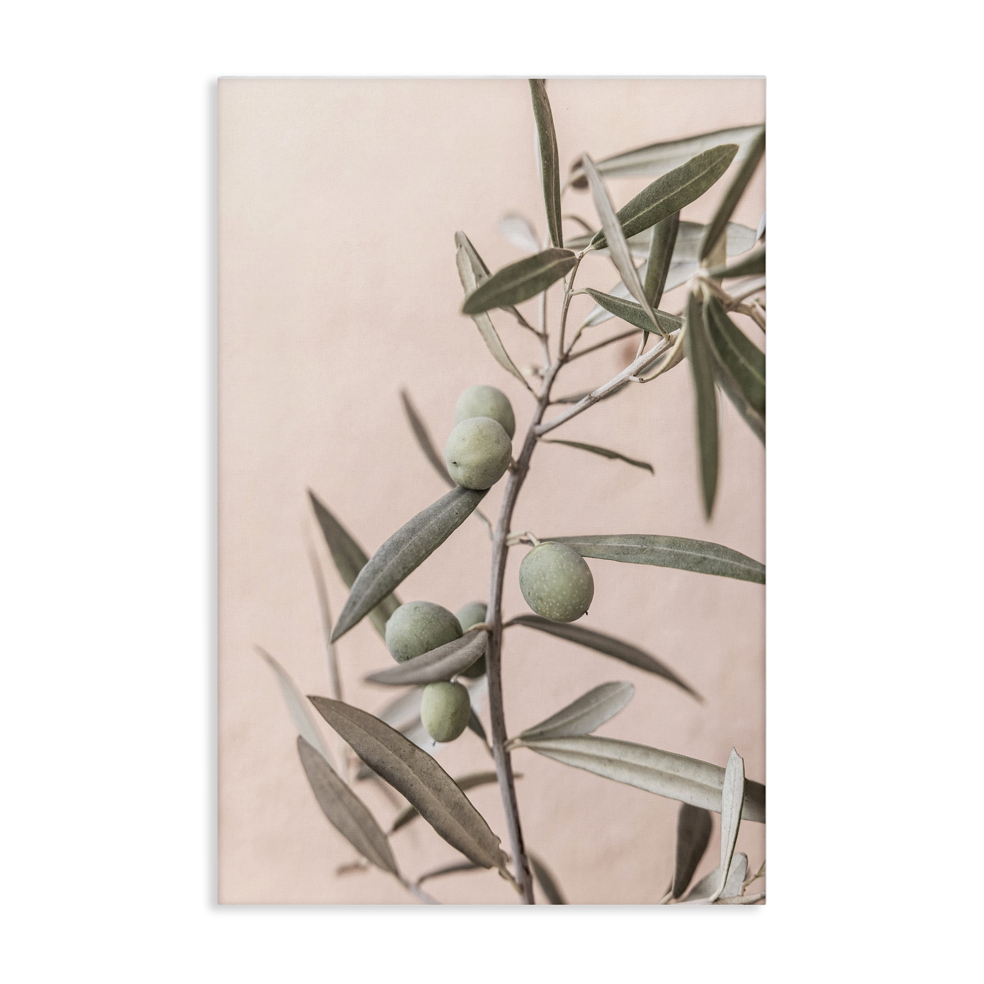 Stupell Industries Spanish Olive Branch Plants & Flowers Painting Wrapped Canvas Art Print Wall Art, 20 x 30