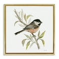 thumbnail image 1 of Stupell Industries Sparrow on Branch Animals & Insects Painting Gold Floater Framed Canvas Art Print Wall Art, 25 x 25, 1 of 10