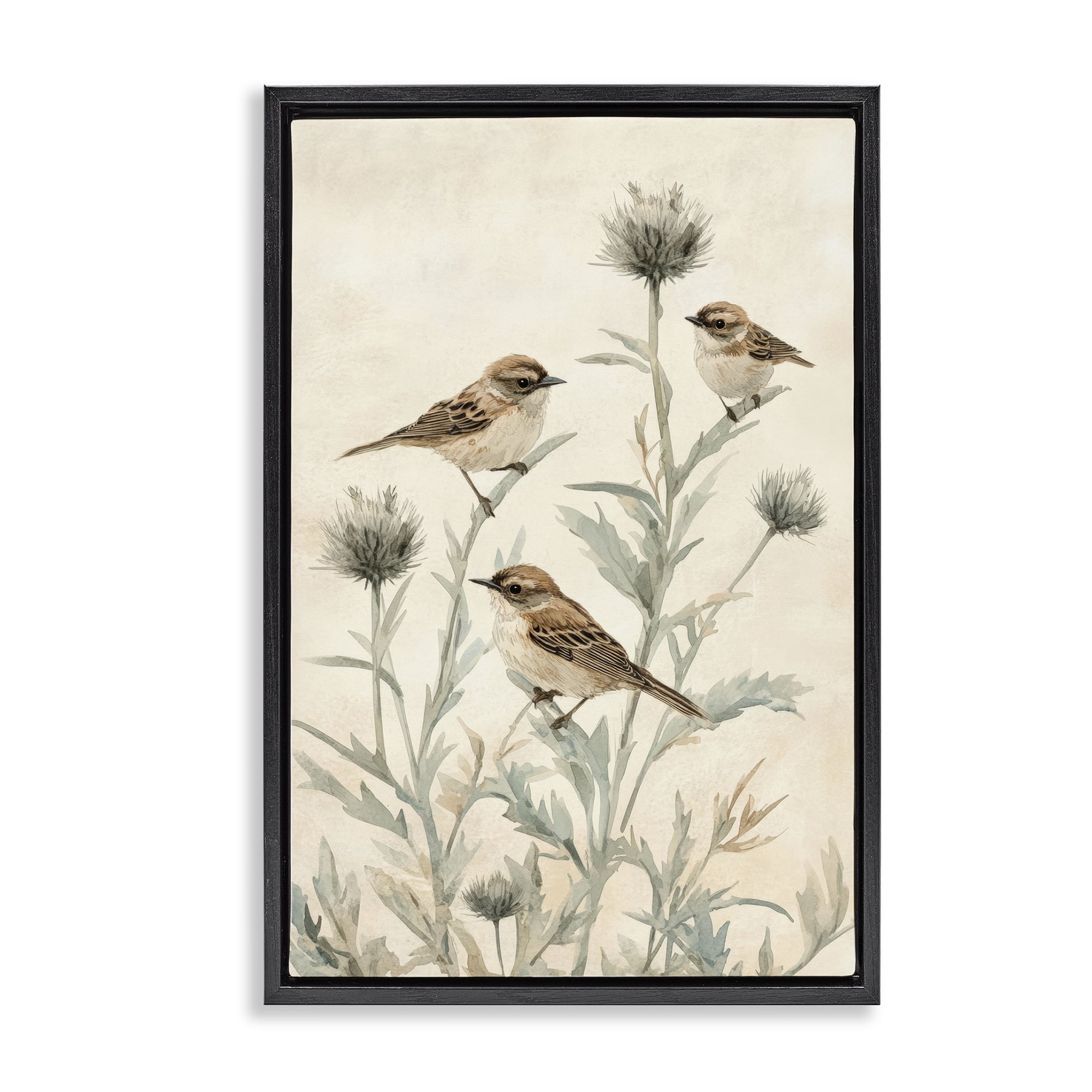 Stupell Industries Sparrows on Thistle Stems Black Framed Floater Canvas Wall Art, design by Petal Prints Design