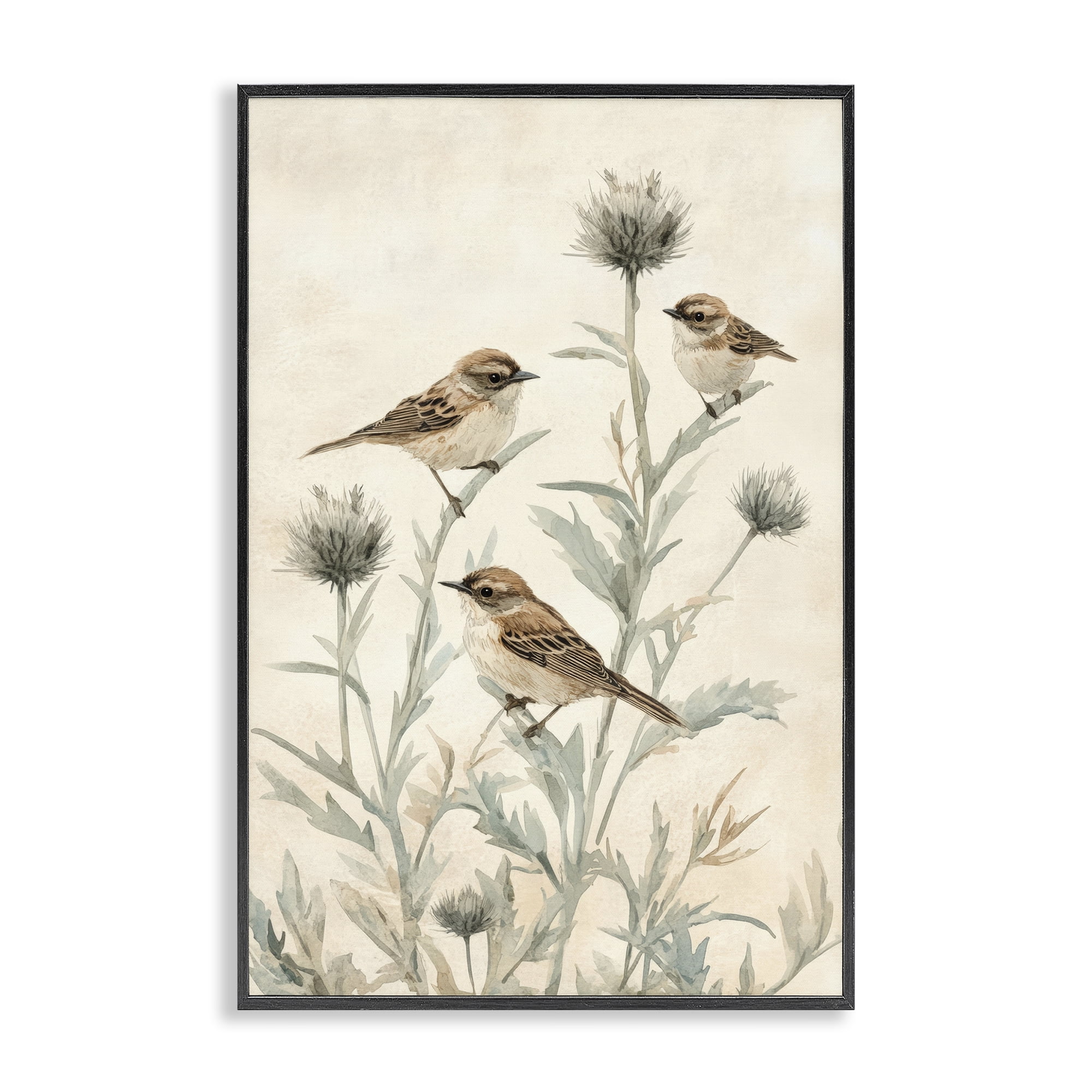 Stupell Industries Sparrows on Thistle Stems Black Framed Giclee Art, design by Petal Prints Design