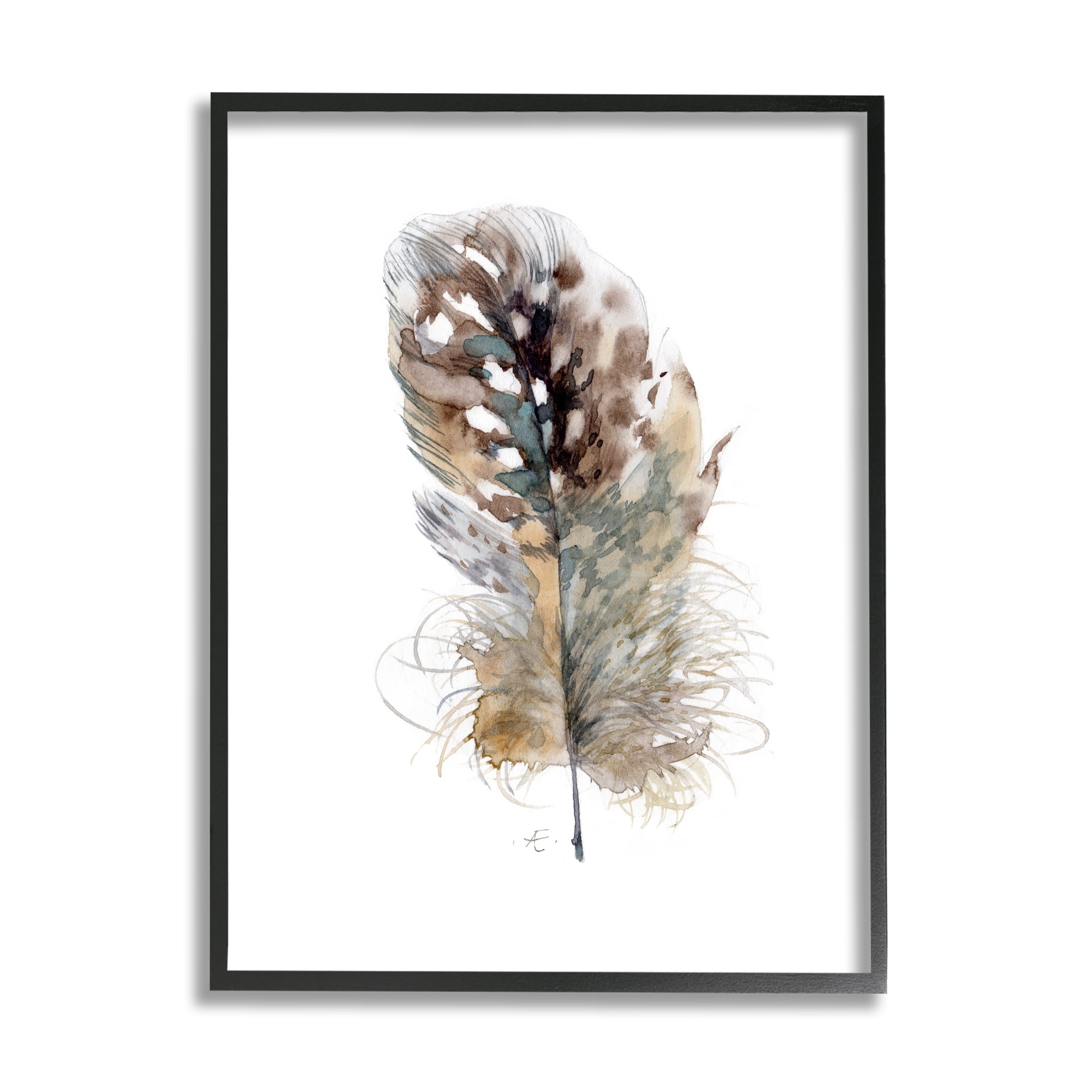 Stupell Industries Speckled Bird Feather Study Brown Animal Watercolor Animals & Insects Painting Black Framed Art Print Wall Art, 16 x 20