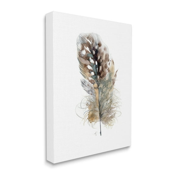 Stupell Industries Speckled Bird Feather Study Brown Animal Watercolor Animals & Insects Painting Gallery Wrapped Canvas Print Wall Art, 16 x 20