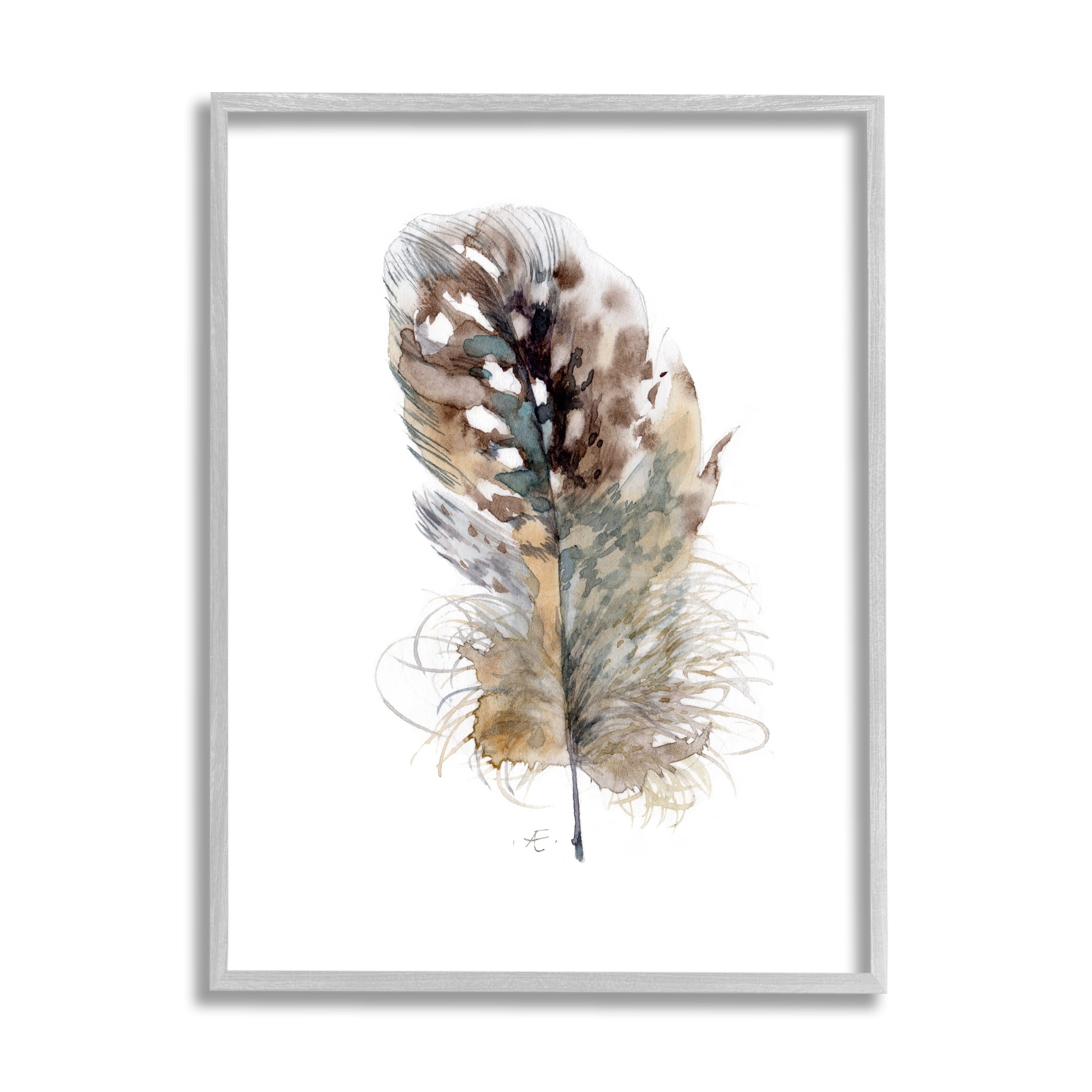 Stupell Industries Speckled Bird Feather Study Brown Animal Watercolor Animals & Insects Painting Gray Framed Art Print Wall Art, 24 x 30