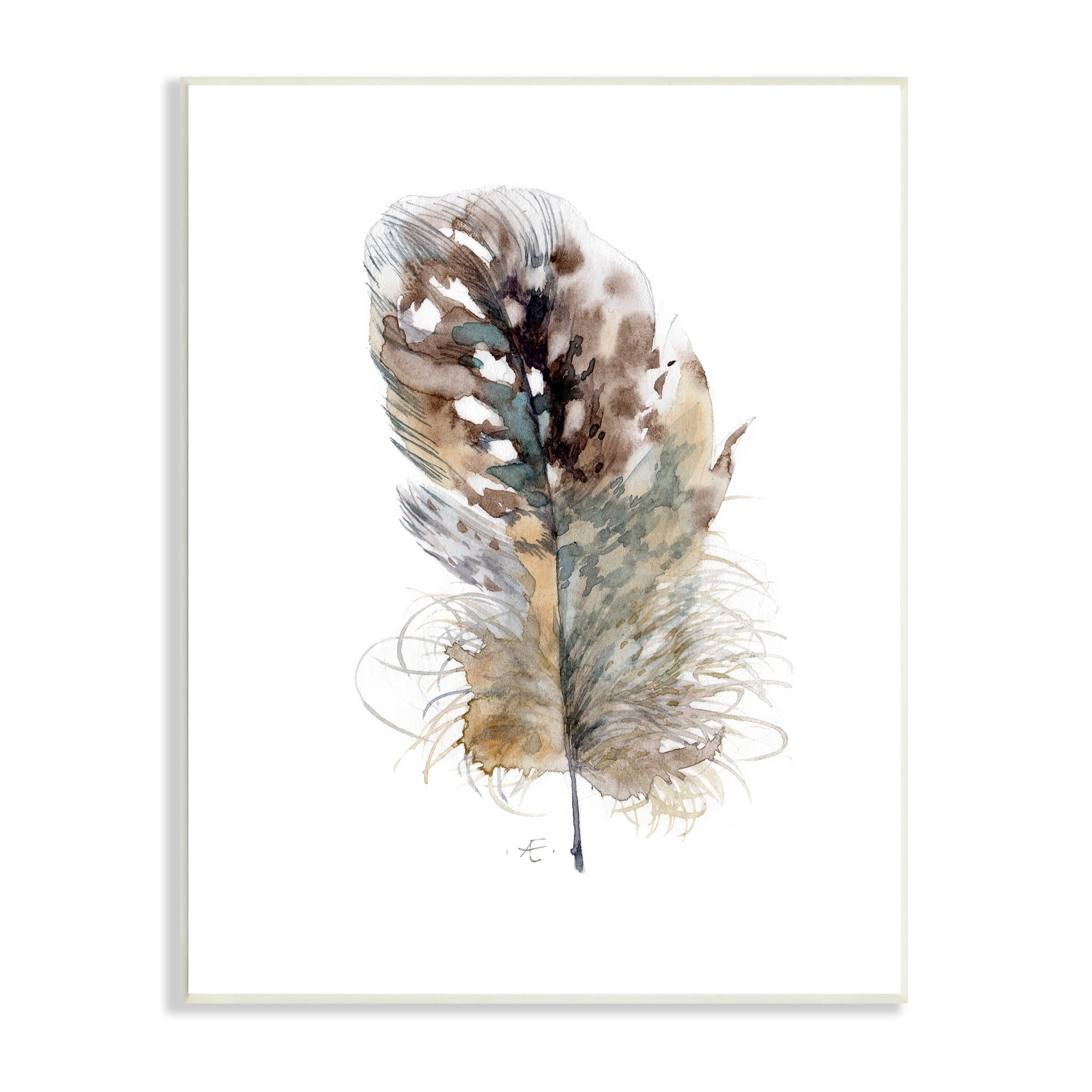 Stupell Industries Speckled Bird Feather Study Brown Animal Watercolor Animals & Insects Painting Unframed Art Print Wall Art, 13 x 19