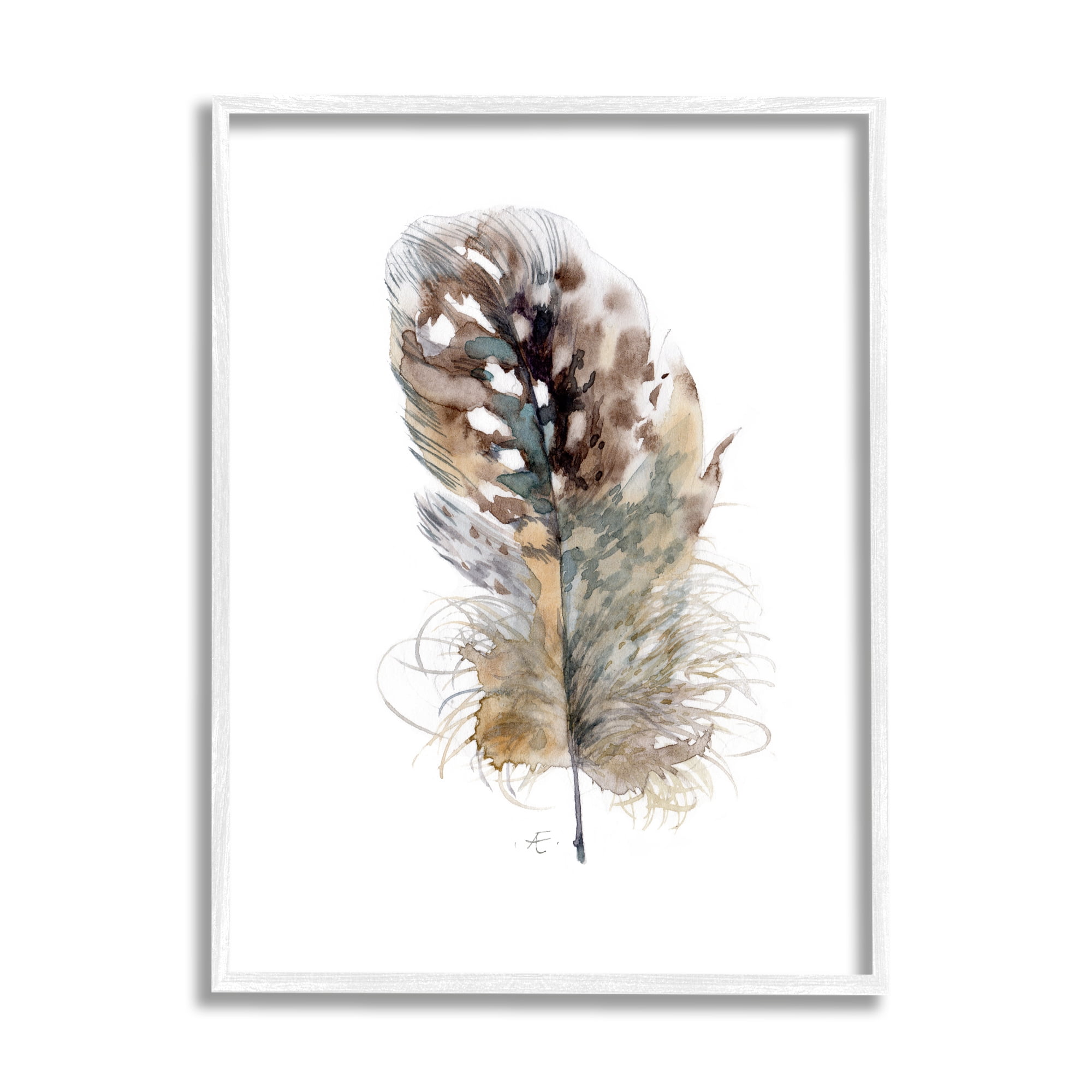 Stupell Industries Speckled Bird Feather Study Brown Animal Watercolor Animals & Insects Painting White Framed Art Print Wall Art, 16 x 20