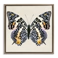 thumbnail image 1 of Stupell Industries Cottage Speckled Butterfly Sketch Brown Floating Frame Canvas Art, 18 x 18, by Susan Arnot, 1 of 8