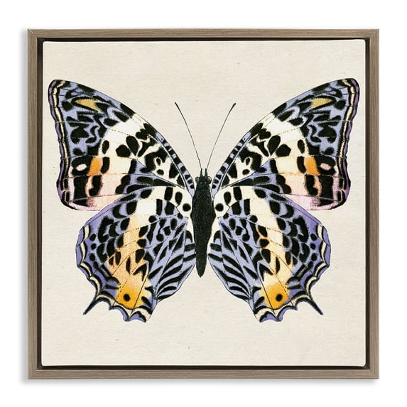 Stupell Industries Cottage Speckled Butterfly Sketch Brown Floating Frame Canvas Art, 18 x 18, by Susan Arnot