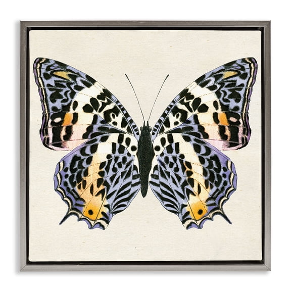 Stupell Industries Speckled Butterfly Sketch Insects Painting Gray Floater Framed Canvas Art Print Wall Art, 25 x 25