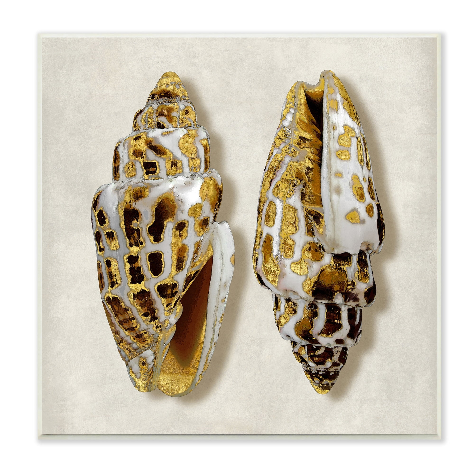 Stupell Industries Speckled Conch Seashell Neutral Tone Sea Life, 12 x 12,Design by Caroline Kelly