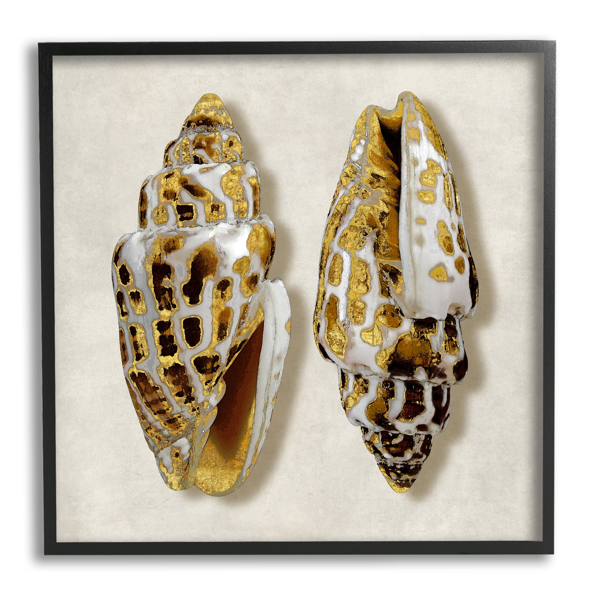 Stupell Industries Speckled Conch Seashell Neutral Tone Sea Life, 24 x 24,Design by Caroline Kelly