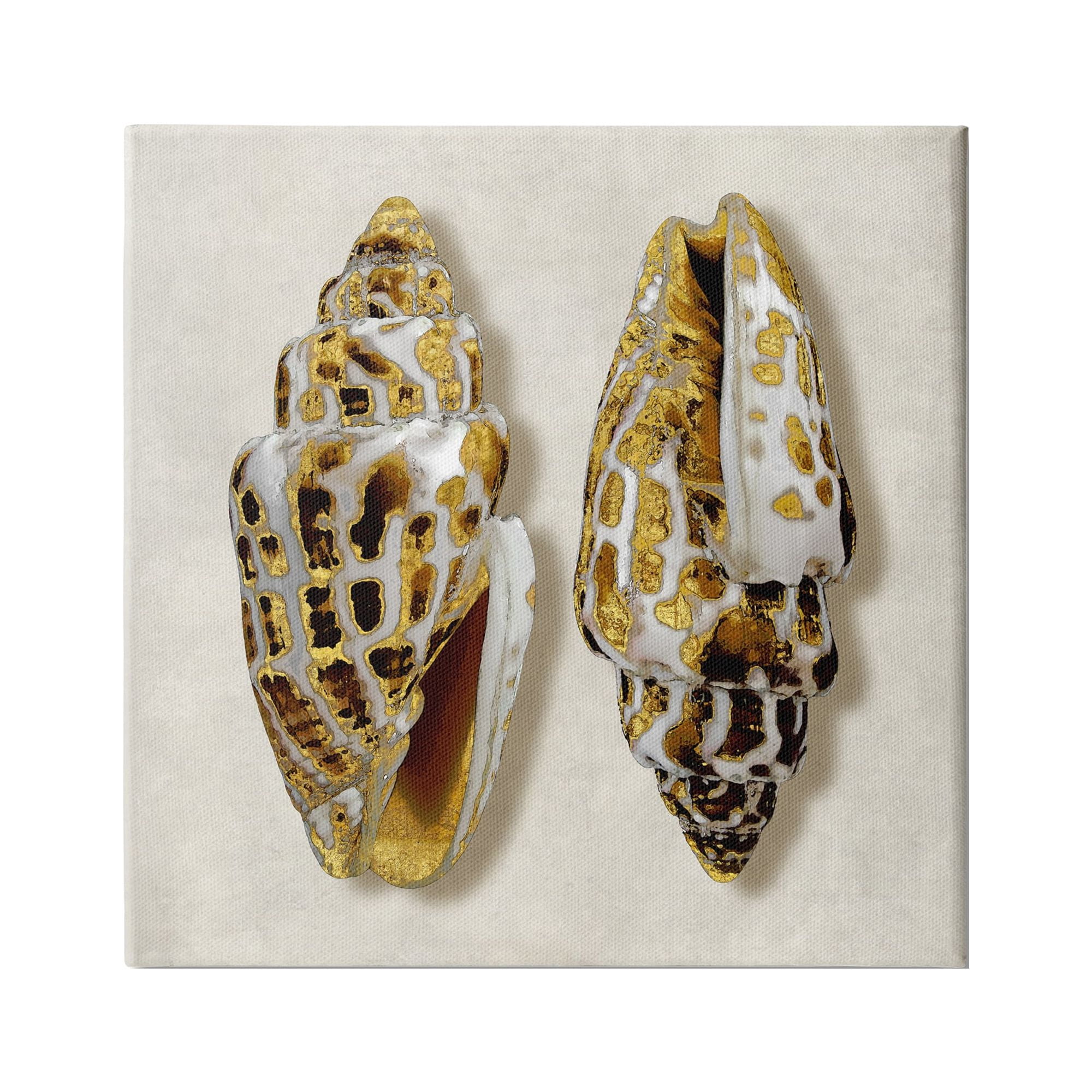 Stupell Industries Speckled Conch Seashell Neutral Tone Sea Life, 30 x 30,Design by Caroline Kelly