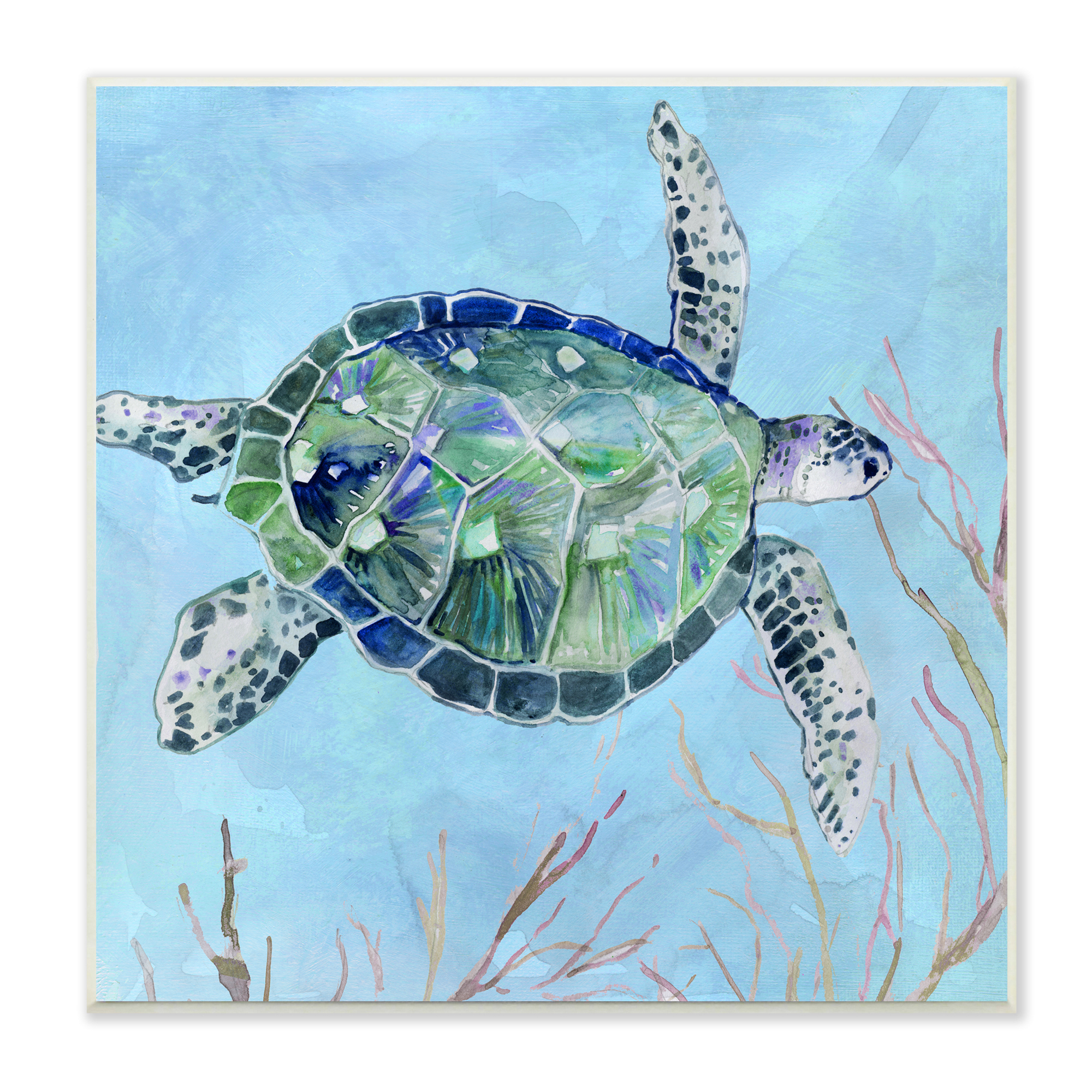 Stupell Industries Speckled Sea Tortoise Deep Sea Aquatic Animal, 12 x 12, Design by Carol Robinson