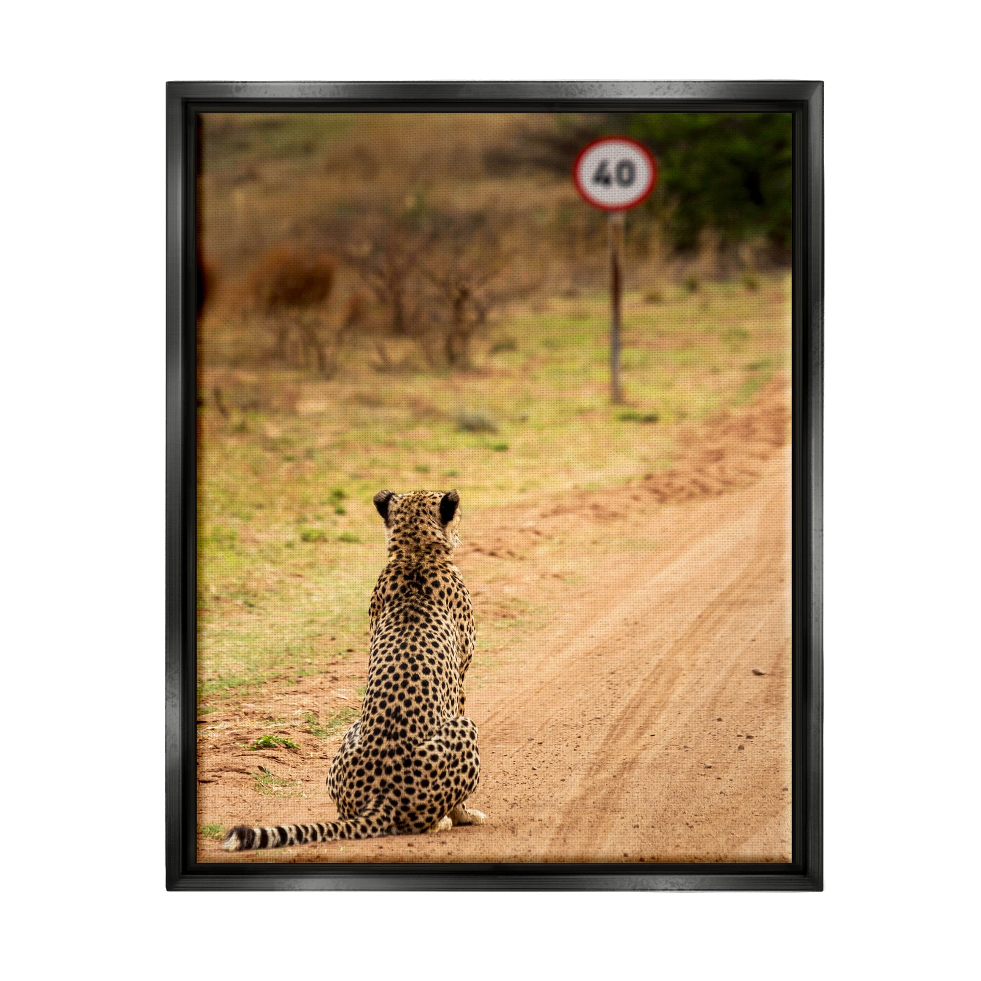 Stupell Industries Speedy Cheetah on Road Animals & Insects Photography Black Floater Framed Canvas Art Print Wall Art, 17 x 21