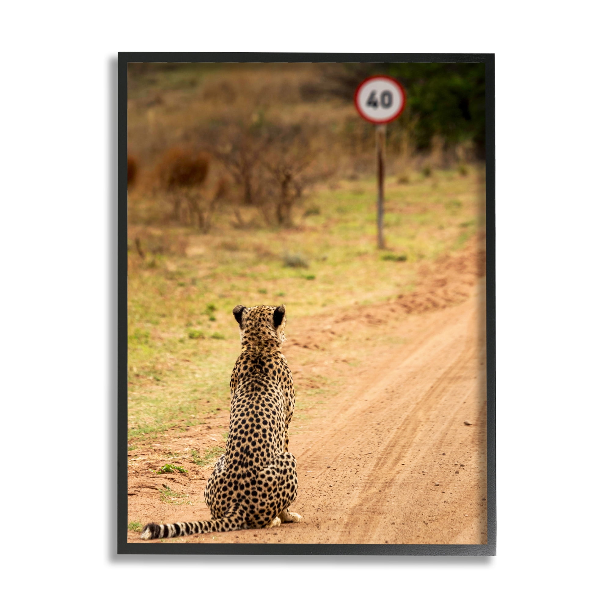 Stupell Industries Speedy Cheetah on Road Animals & Insects Photography Black Framed Art Print Wall Art, 24 x 30