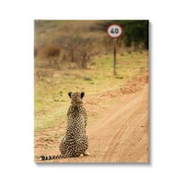 Stupell Industries Speedy Cheetah on Road Animals & Insects Photography Gallery Wrapped Canvas Art Print Wall Art, 16 x 20