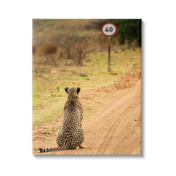 Stupell Industries Speedy Cheetah on Road Animals & Insects Photography Gallery Wrapped Canvas Art Print Wall Art, 16 x 20