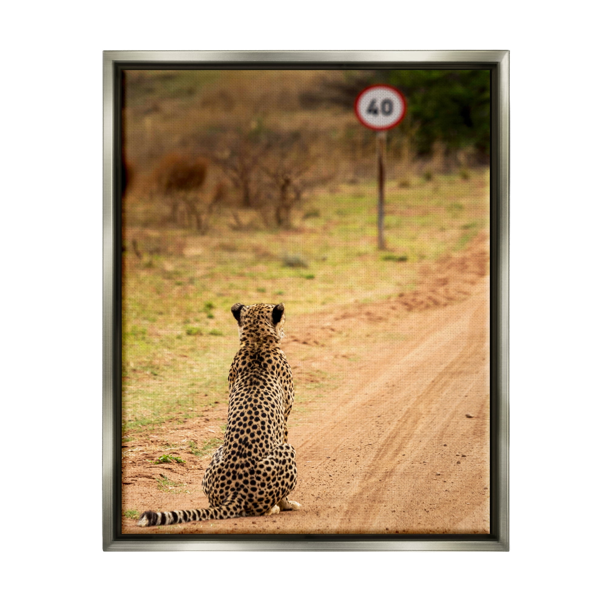 Stupell Industries Speedy Cheetah on Road Animals & Insects Photography Gray Floater Framed Canvas Art Print Wall Art, 17 x 21