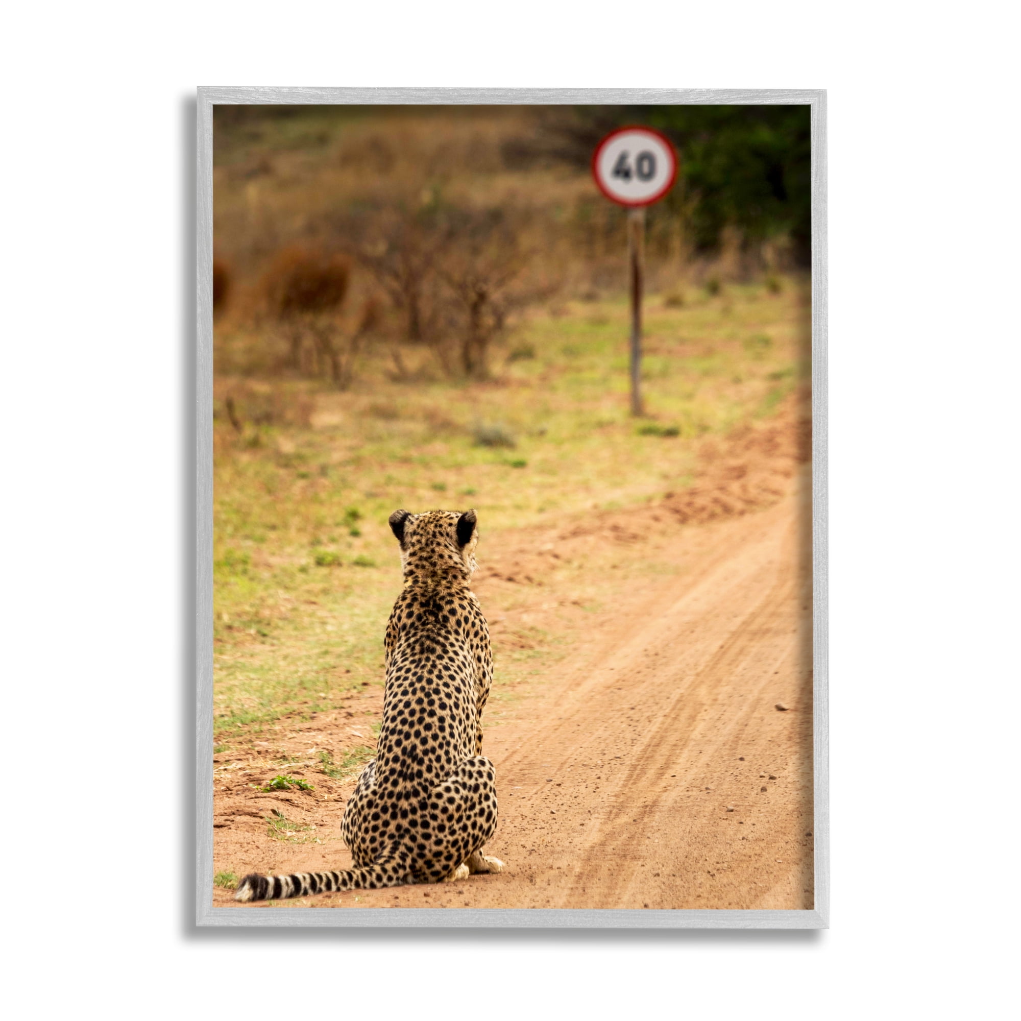 Stupell Industries Speedy Cheetah on Road Animals & Insects Photography Gray Framed Art Print Wall Art, 16 x 20