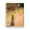 thumbnail image 1 of Stupell Industries Speedy Cheetah on Road Animals & Insects Photography White Framed Art Print Wall Art, 11 x 14, 1 of 9