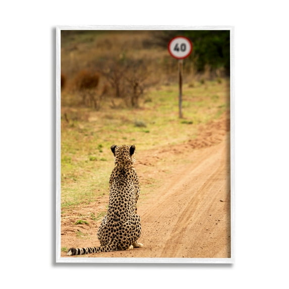 Stupell Industries Speedy Cheetah on Road Animals & Insects Photography White Framed Art Print Wall Art, 24 x 30