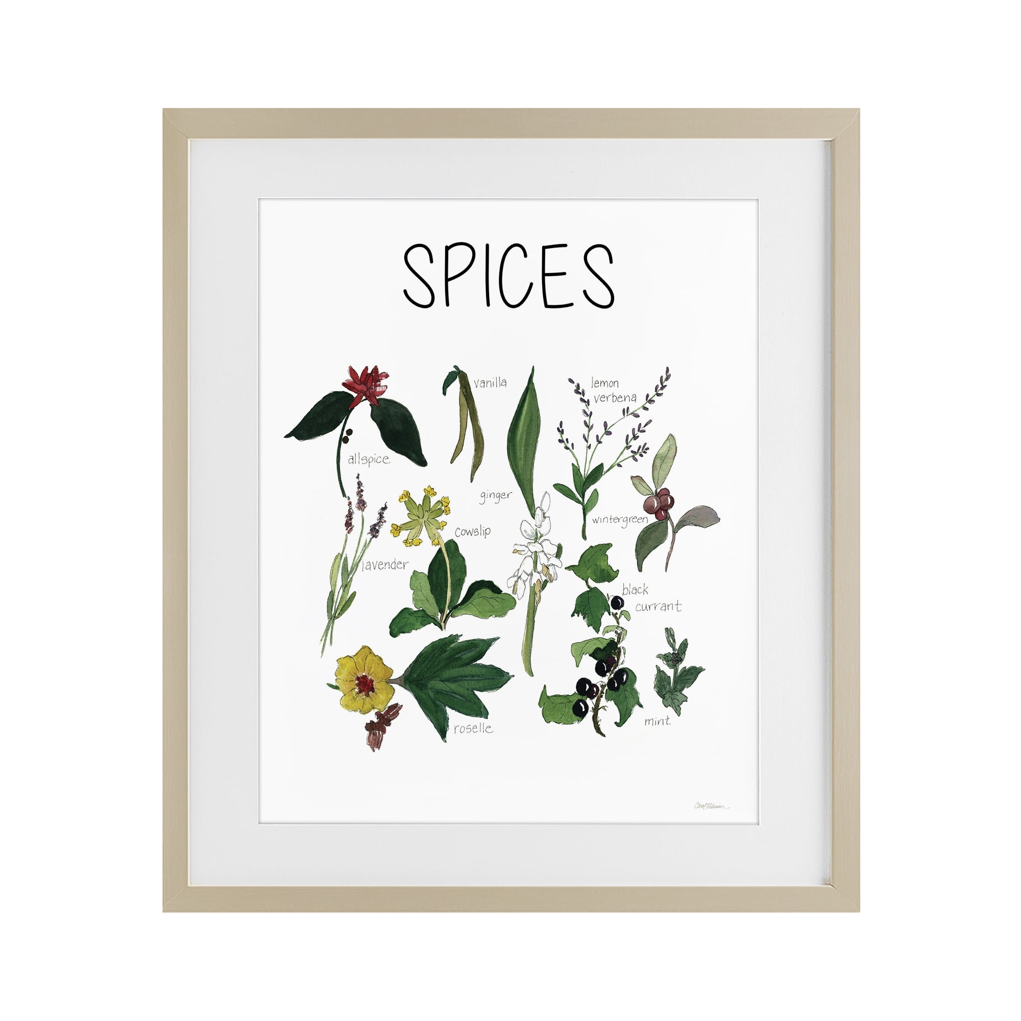 Stupell Industries Spices Identification Chart Birch Framed Print Under Glass, design by Carol Robinson