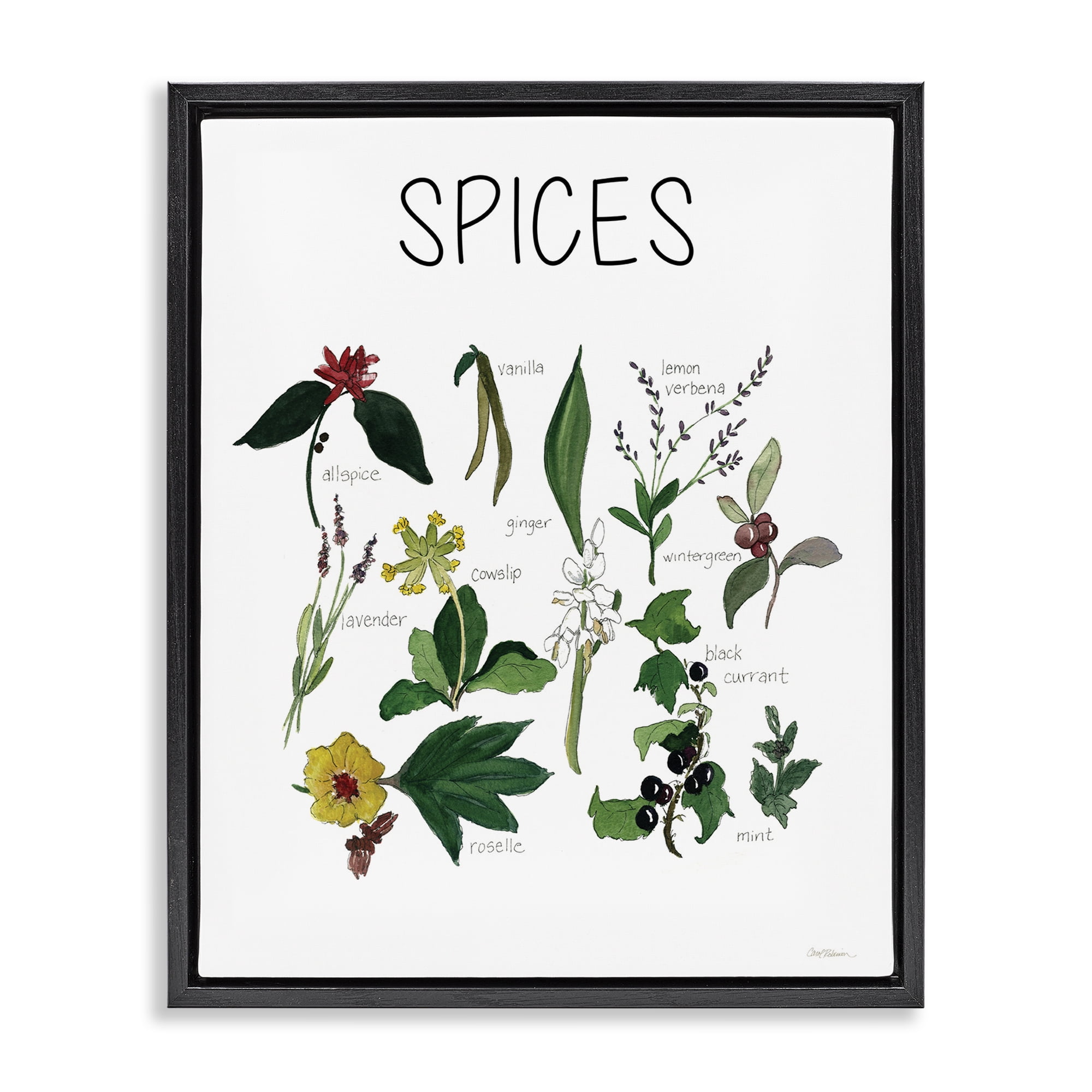Stupell Industries Spices Identification Chart Black Framed Floater Canvas Wall Art, design by Carol Robinson