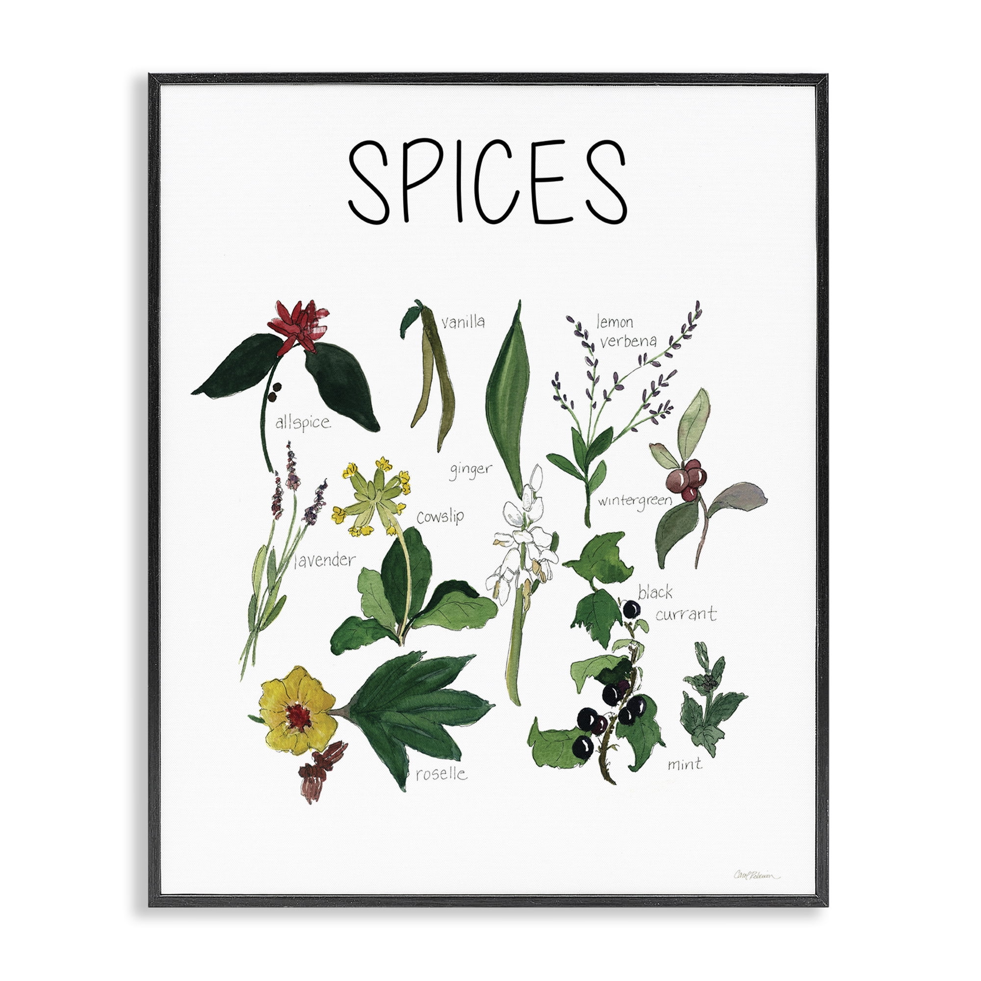 Stupell Industries Spices Identification Chart Black Framed Giclee Art, design by Carol Robinson
