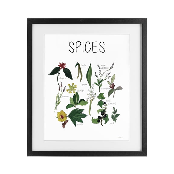 Stupell Industries Spices Identification Chart Black Framed Print Under Glass, design by Carol Robinson