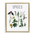 thumbnail image 1 of Stupell Industries Traditional Spices Identification Chart Gold Floating Frame Canvas Art, 17 x 21, by Carol Robinson, 1 of 8