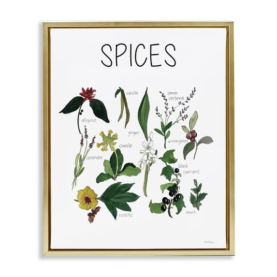 Stupell Industries Traditional Spices Identification Chart Gold Floating Frame Canvas Art, 17 x 21, by Carol Robinson