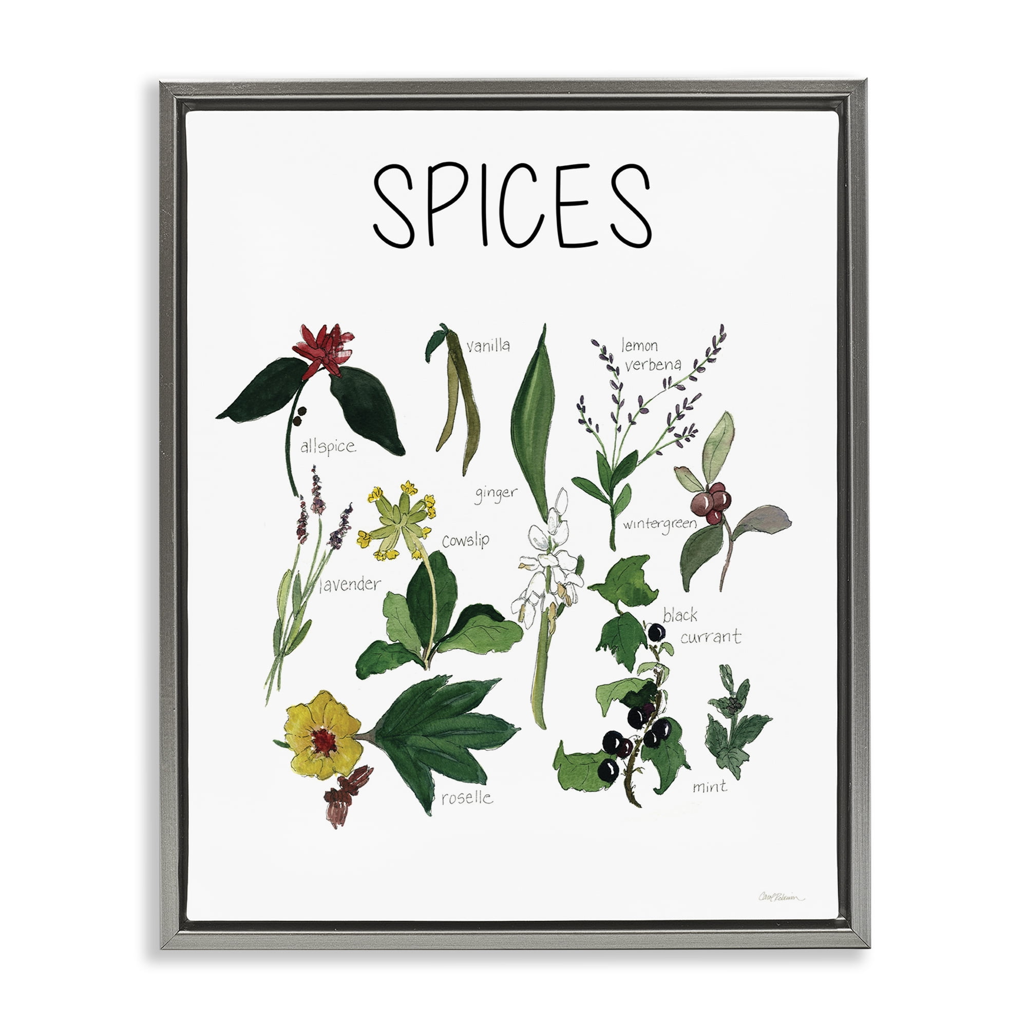 Stupell Industries Spices Identification Chart Gray Framed Floater Canvas Wall Art, design by Carol Robinson