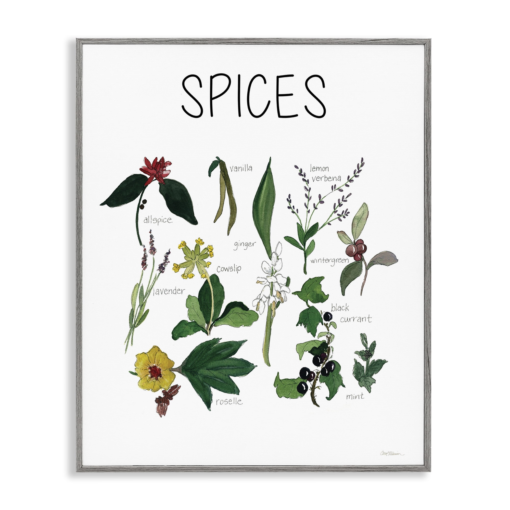 Stupell Industries Spices Identification Chart Gray Framed Giclee Art, design by Carol Robinson