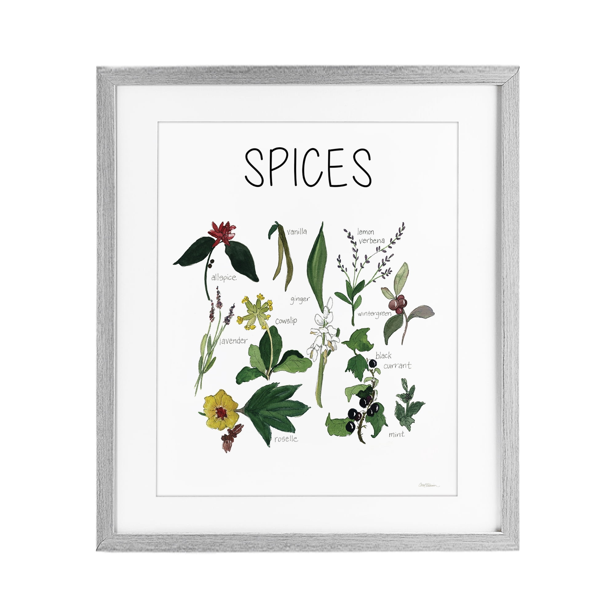 Stupell Industries Spices Identification Chart Gray Framed Print Under Glass, design by Carol Robinson