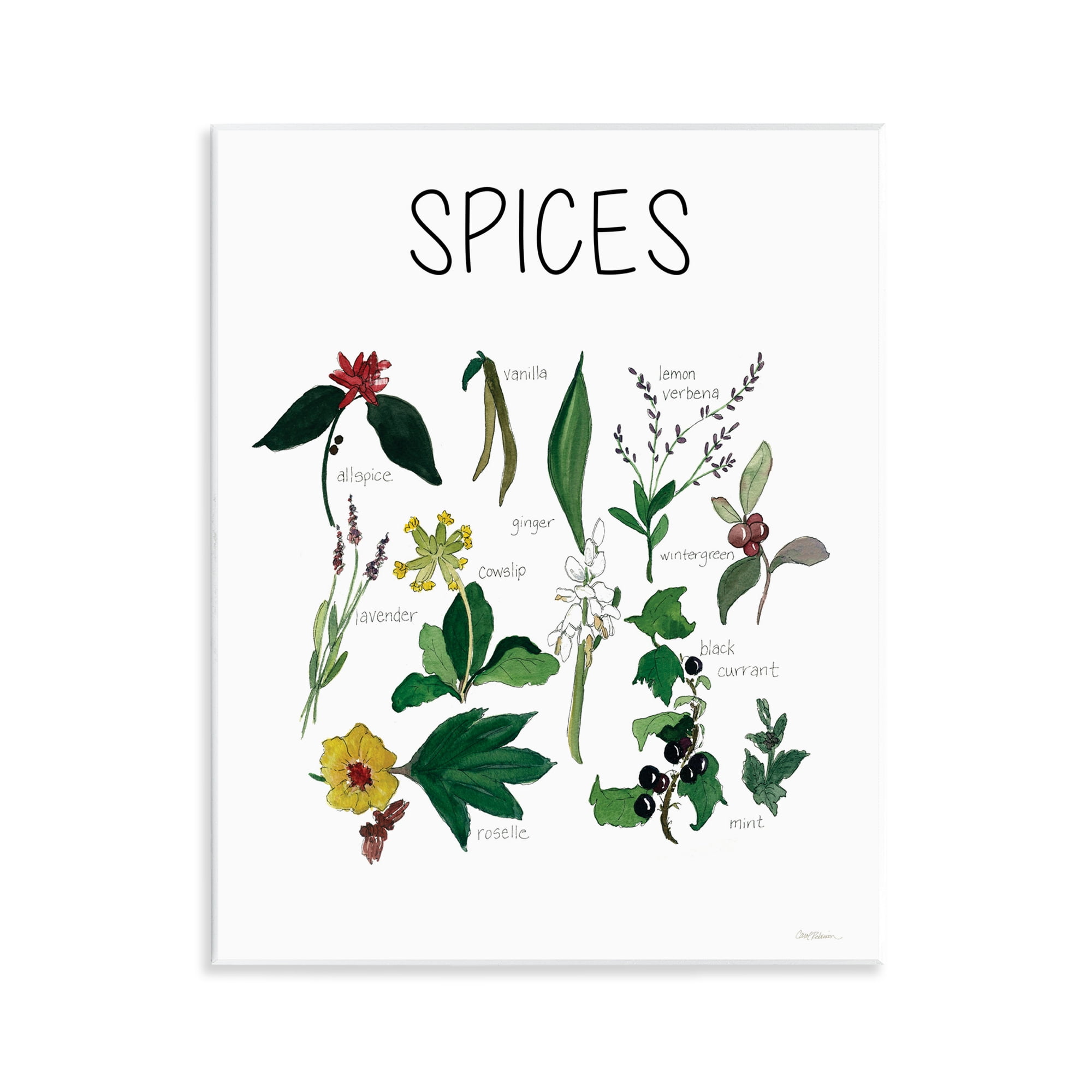 Stupell Industries Spices Identification Chart Wall Plaque Art, design by Carol Robinson