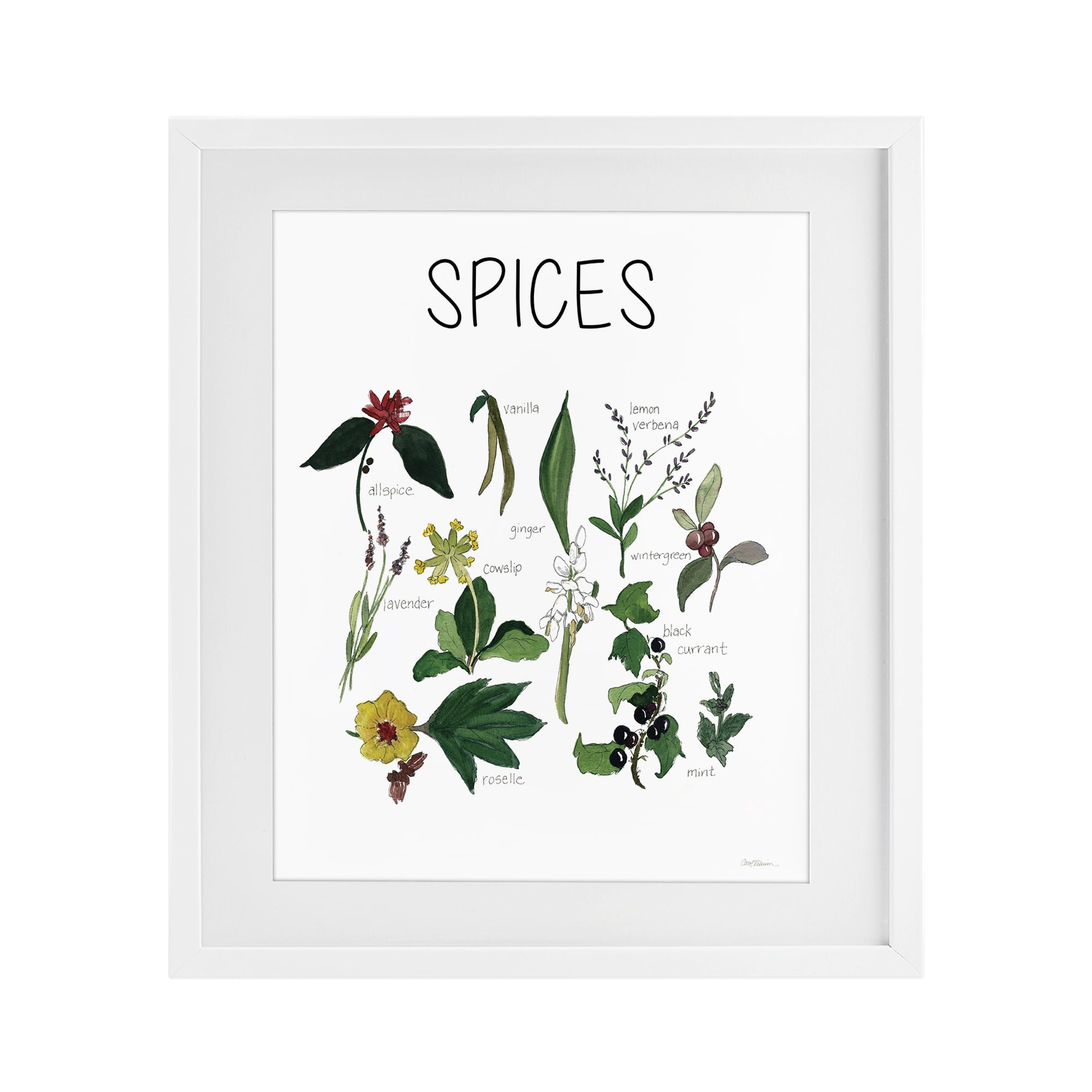Stupell Industries Spices Identification Chart White Framed Print Under Glass, design by Carol Robinson