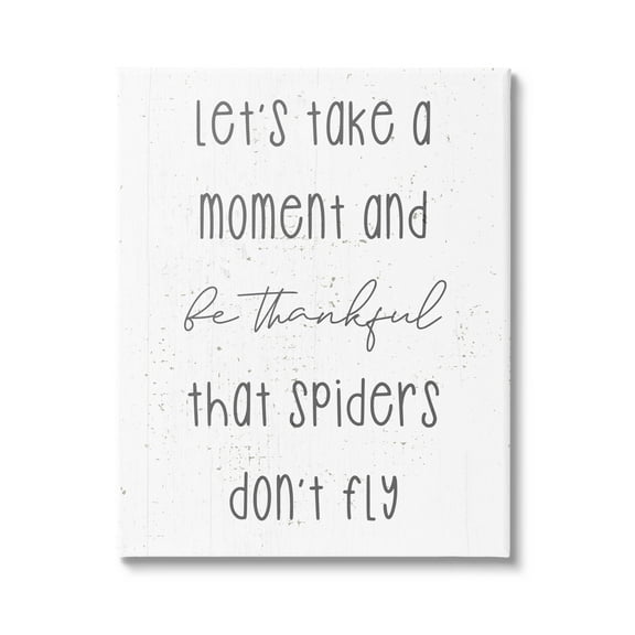 Stupell Industries Spiders Don't Fly Humor Graphic Art Gallery Wrapped Canvas Print Wall Art, Design by Daphne Polselli