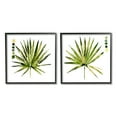thumbnail image 1 of Stupell Industries Spiky Aloe Palm Plant Paint Hue Guide,17 x 17, Design by Jennifer Paxton Parker, 1 of 7