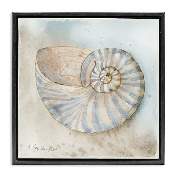 Stupell Industries Spiral Nautilus on Shore Black Framed Floater Canvas Wall Art design by Audrey Jeanne Roberts, 25 x 25