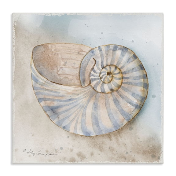 Stupell Industries Spiral Nautilus on Shore Canvas Wall Art design by Audrey Jeanne Roberts, 30 x 30
