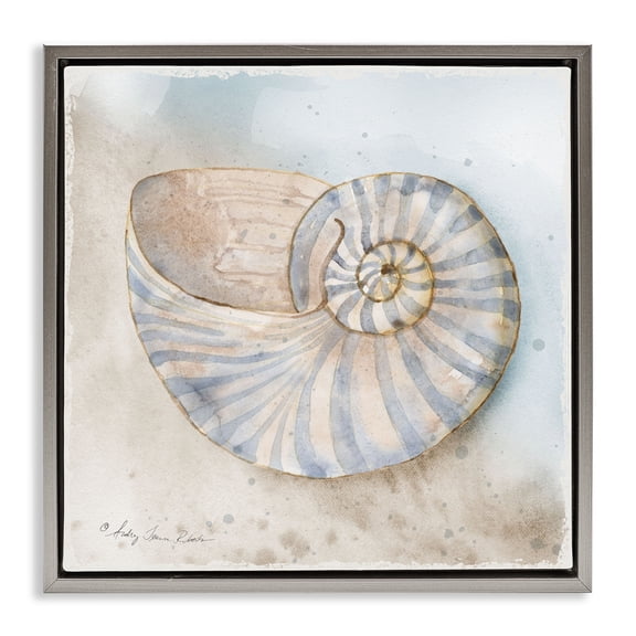 Stupell Industries Spiral Nautilus on Shore Gray Framed Floater Canvas Wall Art design by Audrey Jeanne Roberts, 18 x 18