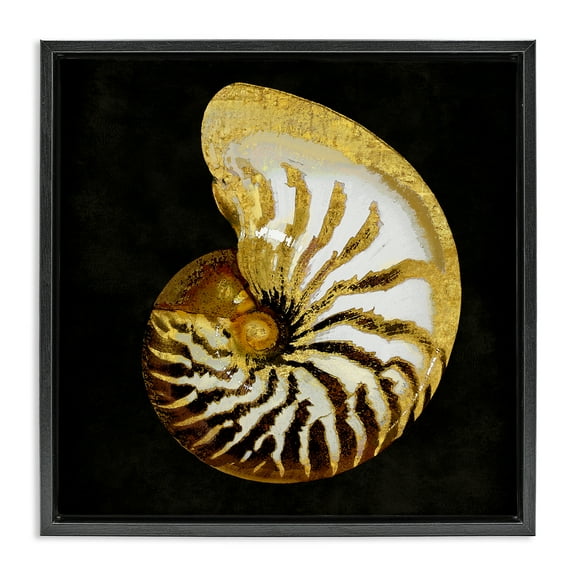 Stupell Industries Spiral Patterned Shell Nautical & Beach Painting Black Floater Framed Canvas Art Print Wall Art, 18 x 18