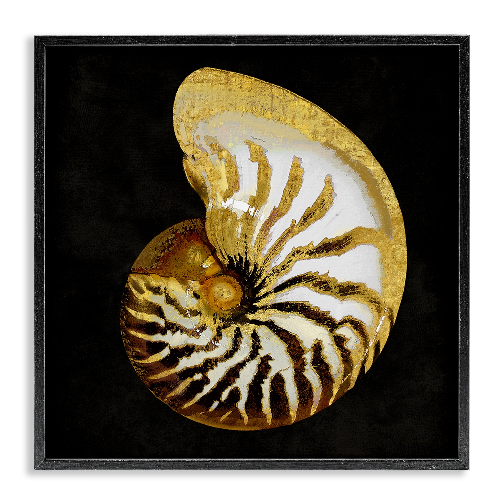 Stupell Industries Spiral Patterned Shell Nautical & Beach Painting Black Framed Art Print Wall Art, 24 x 24