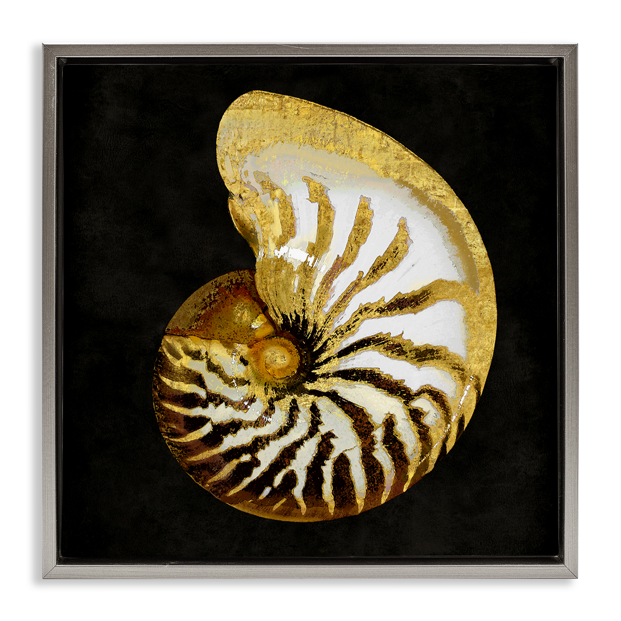 Stupell Industries Spiral Patterned Shell Nautical & Beach Painting Gray Floater Framed Canvas Art Print Wall Art, 25 x 25