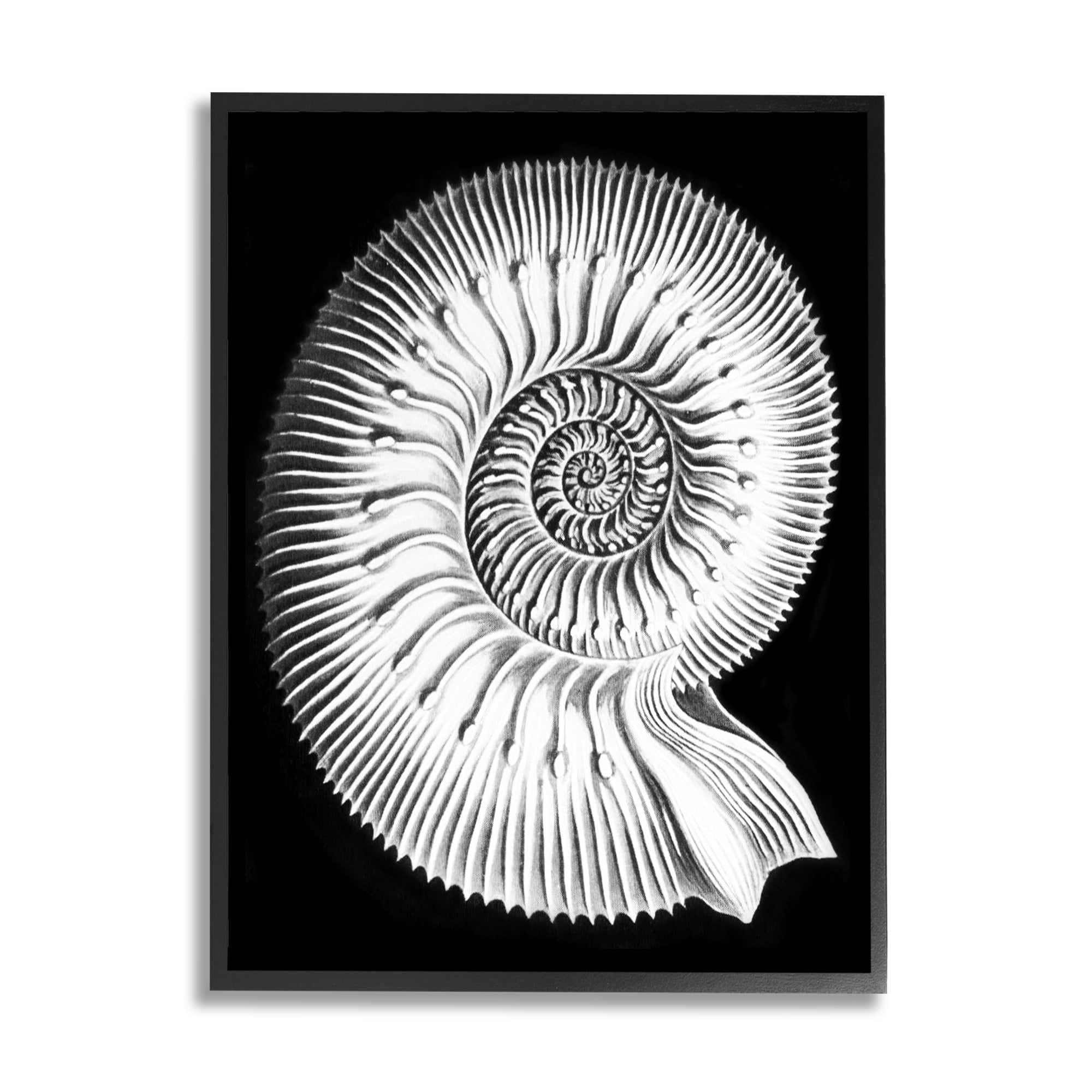 Stupell Industries Spiral Sea Life Beach Shell Modern Fractal Graphic Art Black Framed Art Print Wall Art, Design by Graffitee Studios
